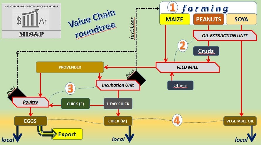 Projet de développement agricole Roundtree Ravinala
